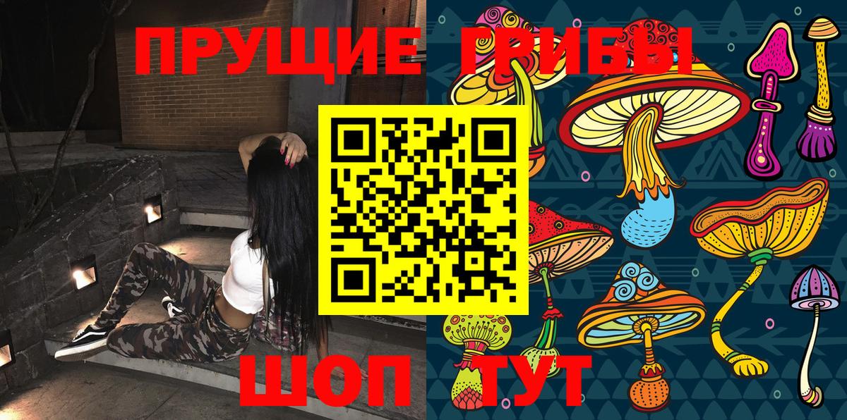 Ульяновск  Галлюциногенные грибы Psilocybine cubensis  Вход с VPN 
